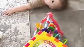 funny cat