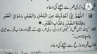 THE ONE DUA