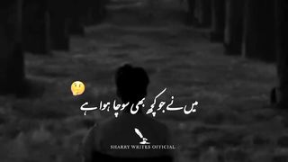 WhatsApp Status Poetry Video Sad 2023