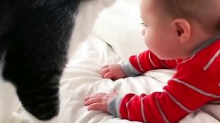 Cat playing with child