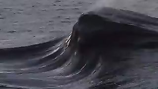 Onda do mar