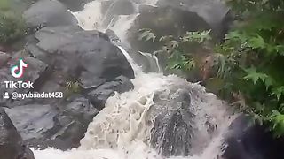 Nice video