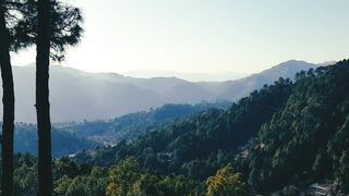 Sunny view