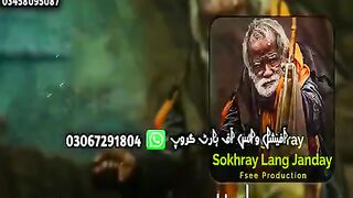 وقت اوکھے سوکھے لنگھ جندے نے۔