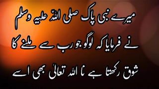 رب جل جلالہ سے ملنے کا شوق