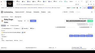 Babydoge Coin Has Entered The Top 68 Cryptos - Crypto News & Updates in Urdu / Hindi