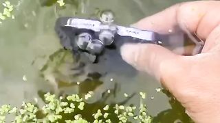 Iphone 13 pro Iphon 14 pro vs gopro Hero 11 black Which one is the bes moment #gopro11 #iphone13pro