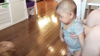 Funny Babies Laughing Hysterically at Dogs Compilation