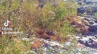 Nice video