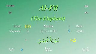 Recite Holy Quran 105 Surah Al Fil with Tajweed by Mishary Al Afasy