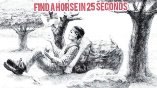 Find a horse