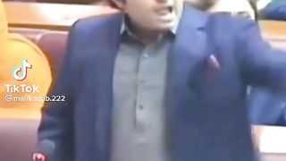 Funny videos ????