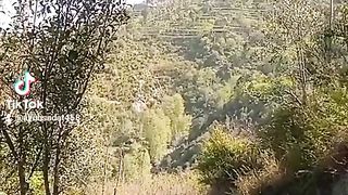 Nice video