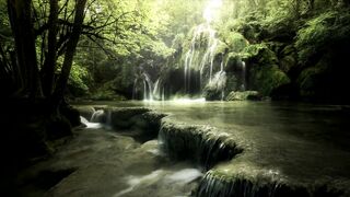 Relaxing in Forest at morning