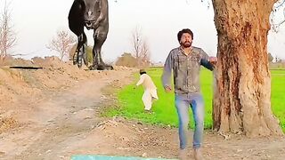 Magic shorts videos with fun #funny_ videos #magic_videos #amazing_magic