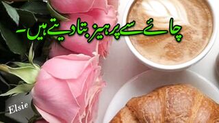TEALOVER poetry|Urdu shayari Tea lover shayri