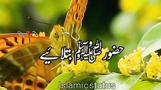 Islamic bayan
