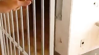 How to make  Door ???? lock ????