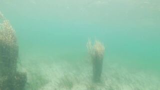 under water things