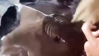 devil fish love with human