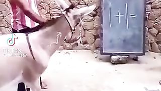 very funny