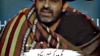 Tehzeeb hafii lovely shayaree