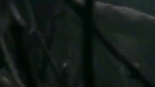 Viral videos