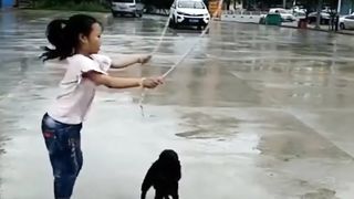 Cute dog video|funny dog video 2023|