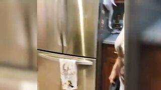 funny animals