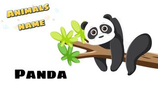 Animals name|learn animals|animals for kid|animals name in english|animals |animals video