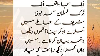 Ek Naujawan ka Roza E Rasool S A W pe hazri ka waqia