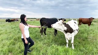 STEWED COW TAILS! How to cook a BULL's TAIL deliciously?
