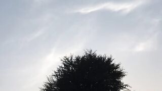 Sunset ????