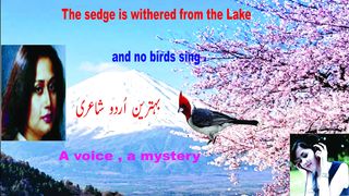 urdu poetry