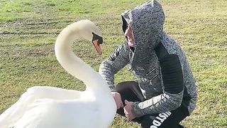 ЕДИН ЛЕБЕД , ЕДИН ЧОВЕК
