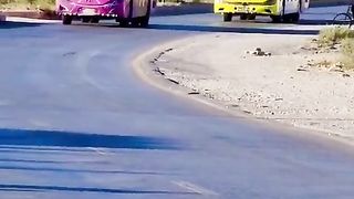 #Buses Race in Pakistan #