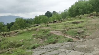kashmir