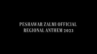 We are proud to present "Zalmi Azmari"