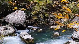 Beautiful Relaxing Music - Peaceful Soothing Instrumental Music, Stress Relief, Deep Focus Music