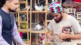 Hindi song