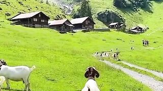 Beauty of???????? Pakistan