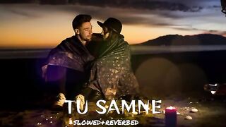 Tu samne new hindi song slowed Reverbed