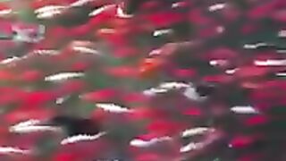 Recite 88
