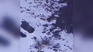 Wooww amazing hunting and catching