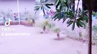 Young bra bra kali gata barsy