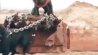 New Sort Video