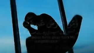 Beautiful  Quran videos