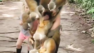 Amazing Love