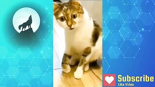 U.42 U.UT Funny Video - You Laugh You Lose Part 16 1n 4V 7.-. ~~ uL. .n.uL uail.aai.
