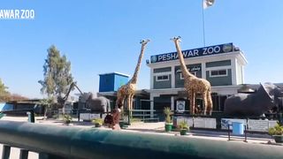 peshawar zoo